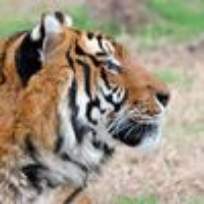 Ильина Галина Владимировна