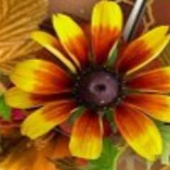 Прохорова Ольга Валерьевна