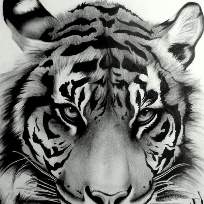 Ярунгина Татьяна Анатольевна