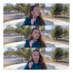 Светлана Николаевна Земерова