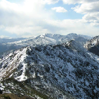 Власова Людмила Михайловна