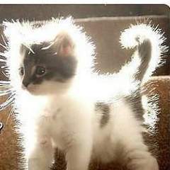 Бяхова Татьяна Владимировна