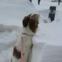 Усова Ирина Евгеньевна