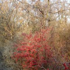 Соловьева Людмила Владимировна