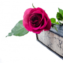 Абдурахманова Халимат Ахмедовна