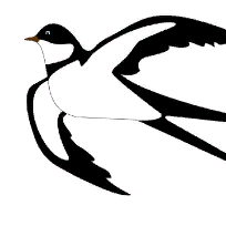 Дюкина Ольга Николаевна