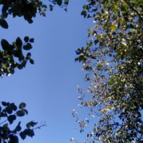 Айнур Тлемисовна Куспанова