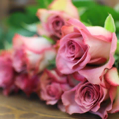 Махмудова Раисат Гитиновасовна