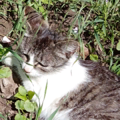 Бойченко Ольга Викторовна