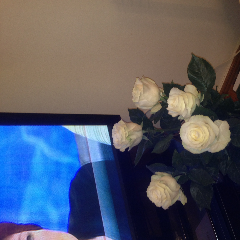 Мизиева Жанет Исмаиловна