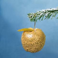 Шакурова Адэля Анваровна