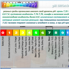 Макарова Светлана Валентиновна