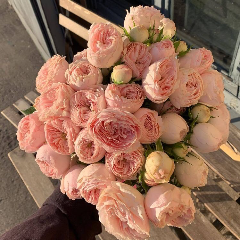 Расулова Эльмира Ровшановна