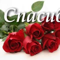 ЮРЧЕНКО СВЕТЛАНА ВИТАЛЬЕВНА