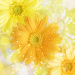 Яна Никитина