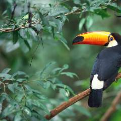 Барсукова Светлана Юрьевна