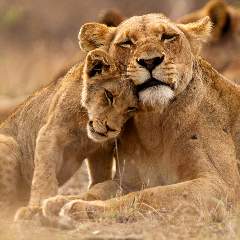 Белова Анастасия Александровна