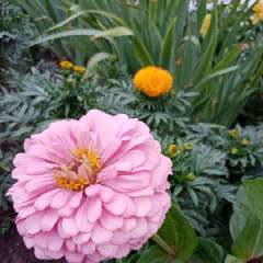 Власова Ирина Владимировна