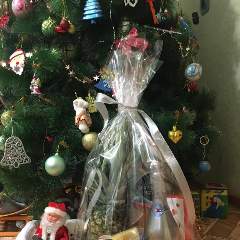 Ханеева Рашида Митуллаевна