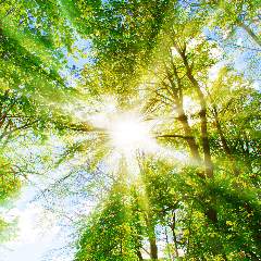 Гайнуллина Гульназ Назирхановна