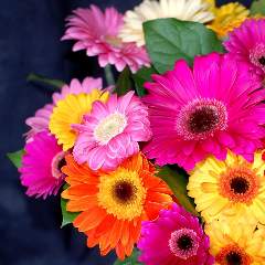 Плескачевская Марина Львовна