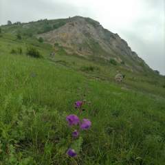 Агеева Таисия Александровна