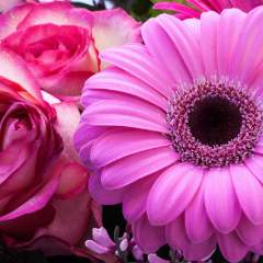 Соколова Наталья Вячеславовна