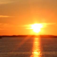 Масолова Светлана Валерьевна