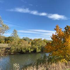 Лысакова Ирина Анатольевна
