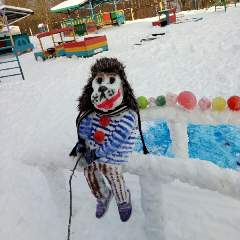 Волкова Ирина Геннадьевна