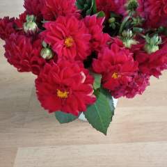 Сенькина Людмила Эдуардовна