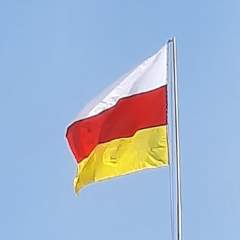 Едзиева Лилия Валерьевна