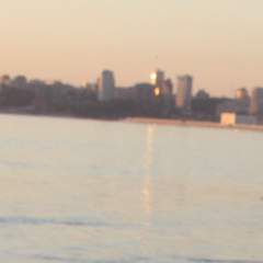 Овчеренко Екатерина Викторовна 