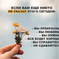 Куратор 