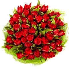 лошкова инна андреевна