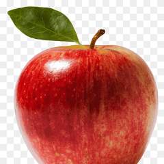 Юнусова Юлия Николаевна