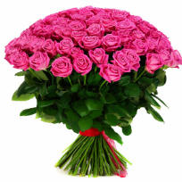 Лохина Елена Анатольевна