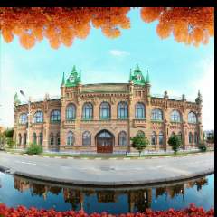 Волобуева Айсель Ахмедовна