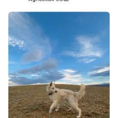 Окашева Ажаргуль