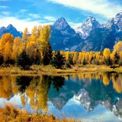 Мишкина Наталья Юрьевна