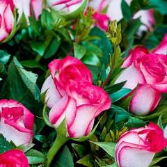 Елена Сергеевна Семенова