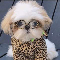 Хлобысталина Екатерина Алексеевна