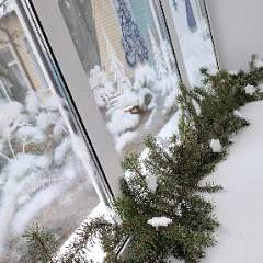 Кутахина Светлана Александровна 