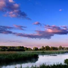 Светлана Фомченкова