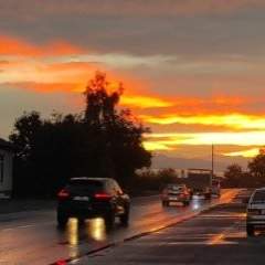 Туаева Светлана Герисоевна