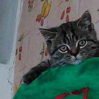 Перунова Татьяна юрьевна