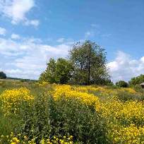 Фирсова Нина Николаевна