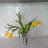 Печерских Людмила Владимировна