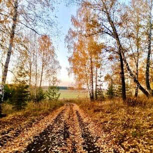 Золотая осень