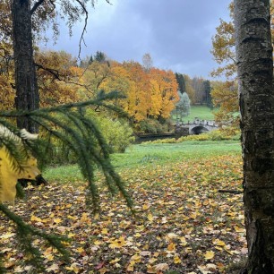 «Осень в парке»